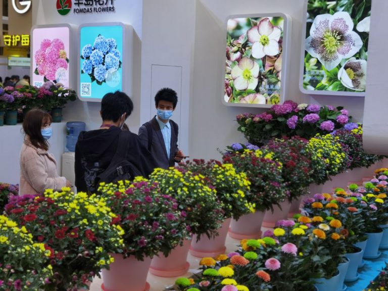 展会现场 12