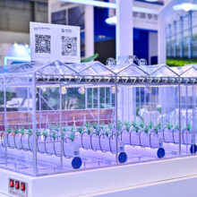 微信图片_20260226101737_477_48