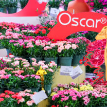 微信图片_20260226101738_478_48