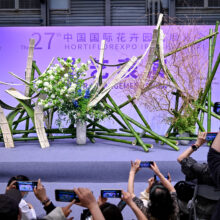 微信图片_20260226101739_479_48